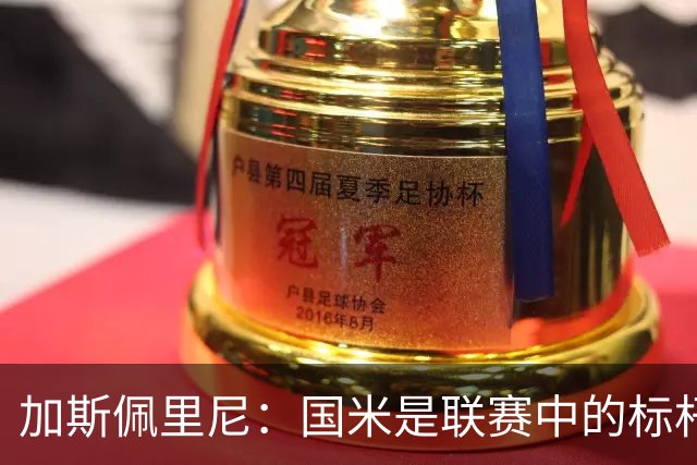 加斯佩里尼：国米是联赛中的标杆球队 明天我们全员均可出战